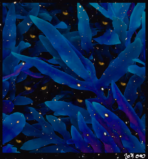 Item #92783142183670148779523509575317469478567850605598829462236361883655197425674 Media