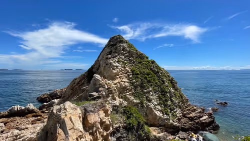 wenyongqi Collection