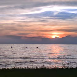 La lora eco parque sunset 001 