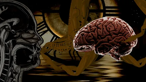 Item #48633838048998583663320801872641342627589424413345964441345781945554415124481 Media