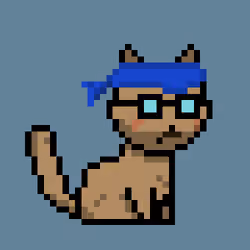 PunkCat #2319