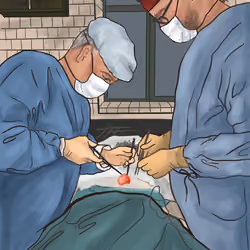 doctors case. start.