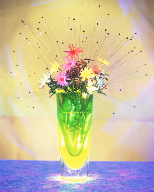 Item #109162157552346088047496633038404394118504199992061596446112929800843245387782 Media