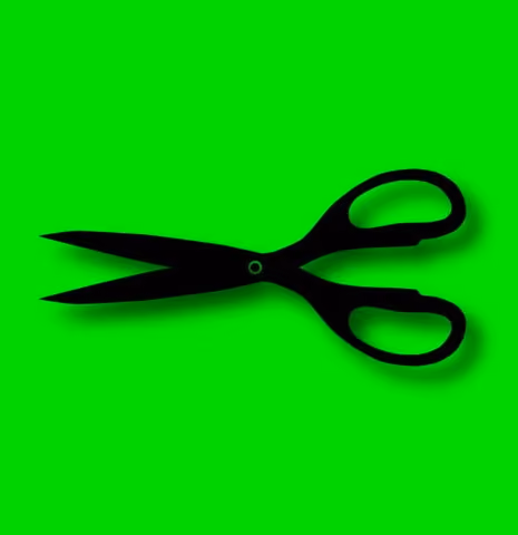 Bloot Scissors #004