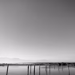 SALTON