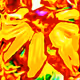 90153760361778051664497891602484844252682411911857097900169010319524020355073