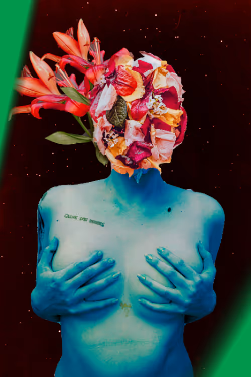 Item #14841988310440250522005790873620147993191226798072072988279030960183043948545 Media