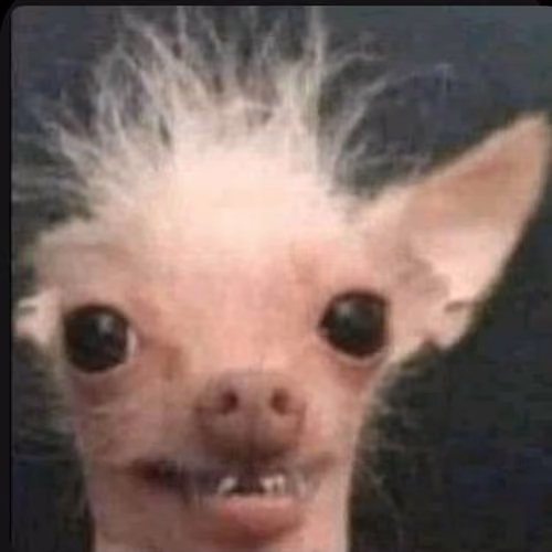 maaw