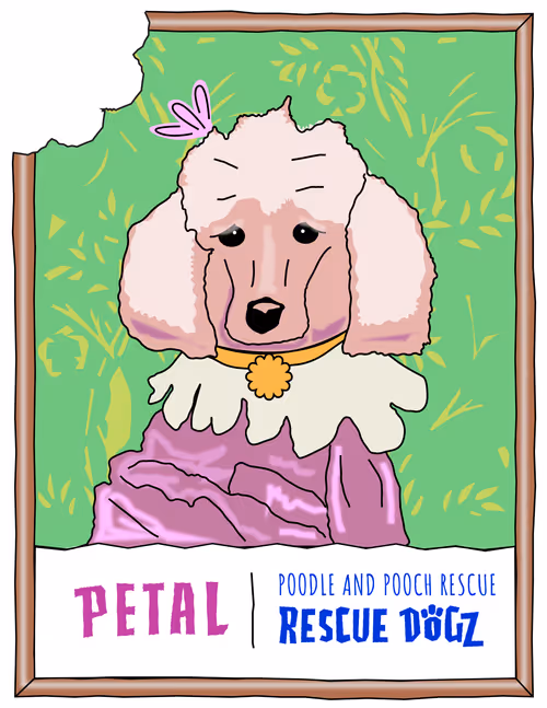 Item #30690731946652718087334591486962028713730520455891869769803774232869998690305 Media