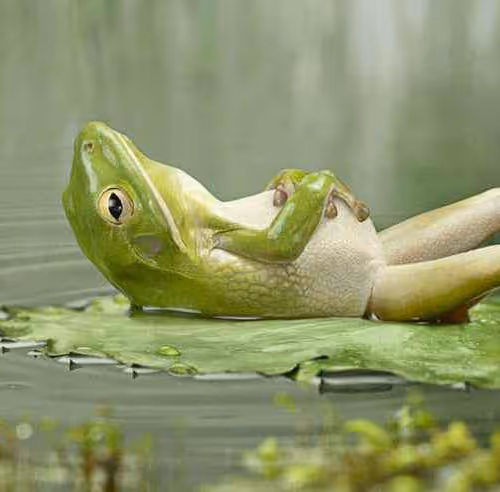 100919220752822472105697523672970389794578270397276193975259389416099113074689