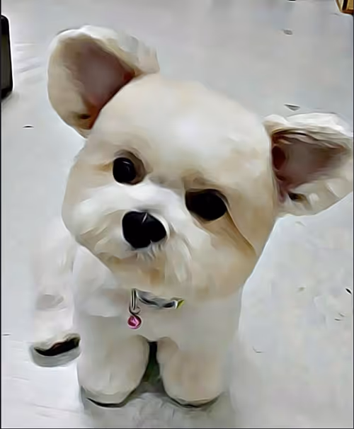 Item #21607923784025543658024067331009769919395041958272689574271021059488738181121 Media