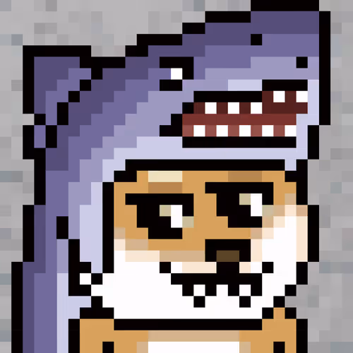 Shiba Aaron Collection