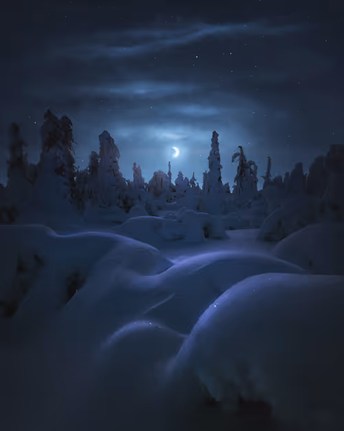 Item #134489906944514601836567189437532879130233761745768622289177287697480286209 Media