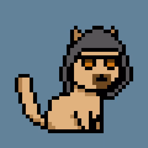 PunkCat #6505