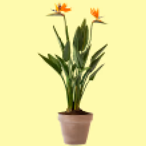 Item #73192761054693727273600531733940838900087850851113735336929408359576150999041 Media