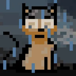 68568621670061694275886429845276246181661587958117290586321121600950574776321