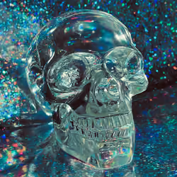 SEA SKULL