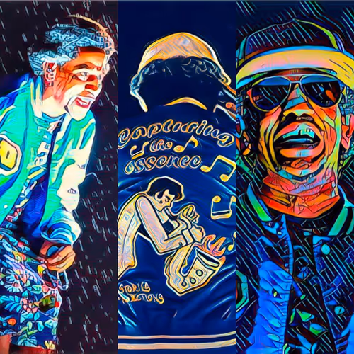 Pollomaldonado Collection