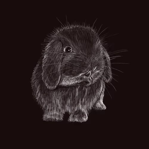 NightRabbit