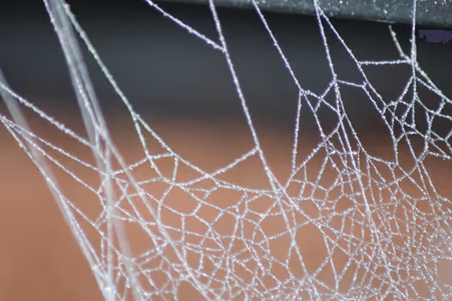 51124555051901614330264480006545612592022390906904121289505624551413608611841