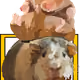 11956811942635422927171460162610099694714344402587762652016437321888763478017
