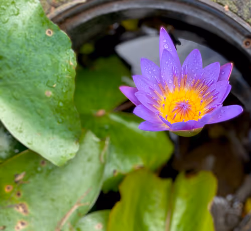 Item #82121040310152858271611695185726862598573823480924774186434391318603476500481 Media