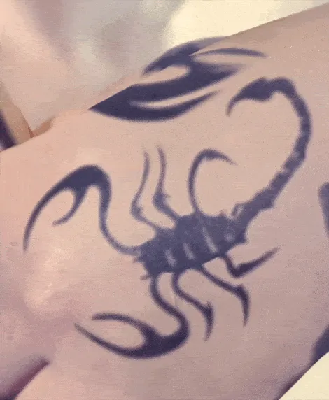 Item #6631362002512423388311392199166238765840296653248334229457094453735284801537 Media