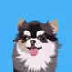 26355763393747351603500867935110919739560527042500872682876703162107542110209