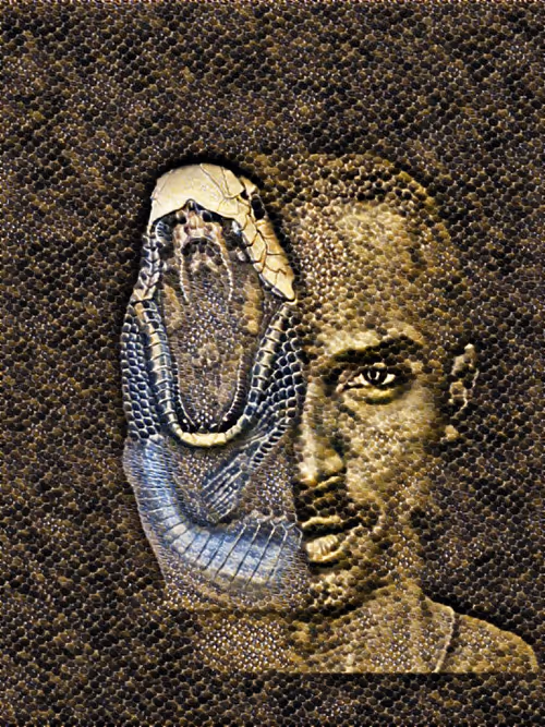 Item #5660331910901459899492697206623043163857307239964562576987589223195672051713 Media