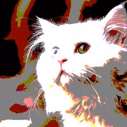 23538819986925566434507765811444276093104658907602947149672917440564463403009