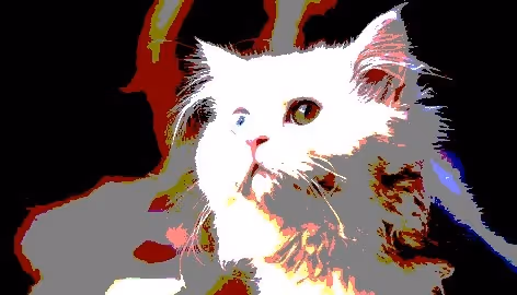 23538819986925566434507765811444276093104658907602947149672917440564463403009