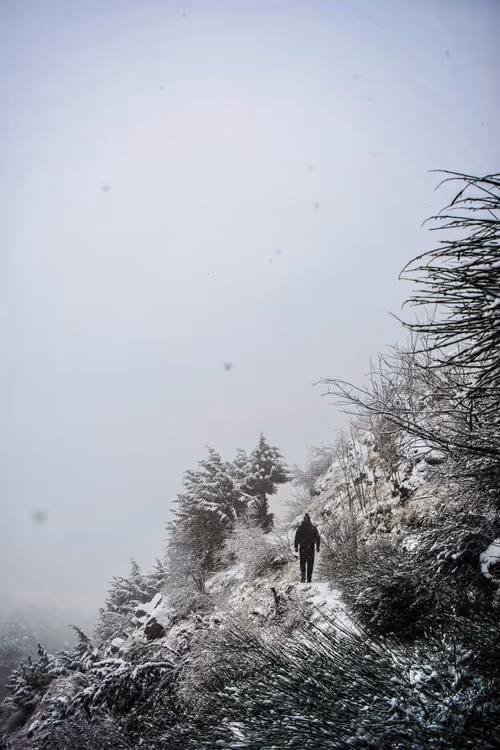 Item #106096322599603620341222276342369033024048943291878962669270680822510046412801 Media