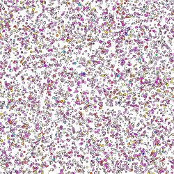 12406465350953936736982779590327937859786756456093414208146308675730461949953
