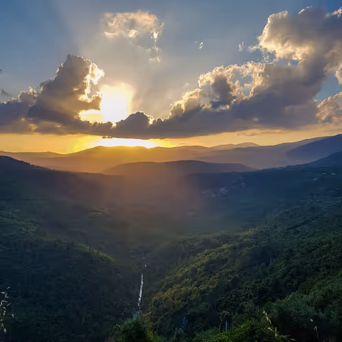 Item #87313403641458548578915829141602079260166902166585412055550580866928227647489 Media