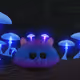 75614438940621619311631535147410557252182840089729367560175644063807548948481