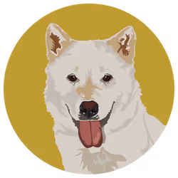 54766349128176429303044182404049584425310907481653304317570414041983006801921