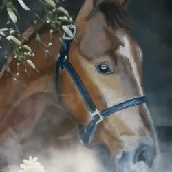 CABALLO #9