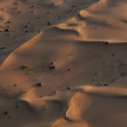 Sand Riders I