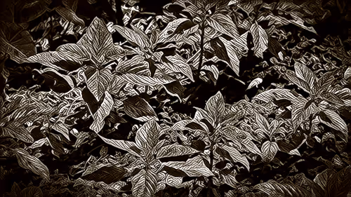 Item #12801933611743003681732093195004376759551915858400843347804904524361804808193 Media