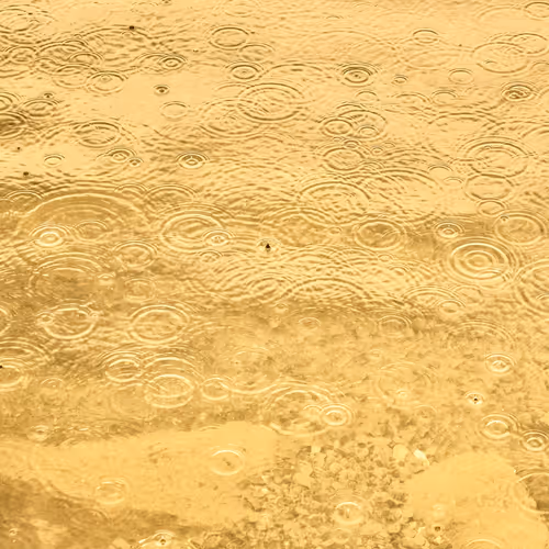 Item #110563264937173630415102547684714144673786021135482478862181301903206324895745 Media