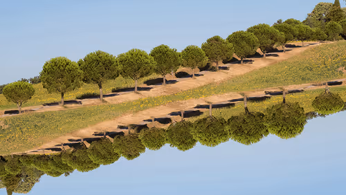 Item #94576621416487951025463850694389914524968034803155250178324902462105543770113 Media