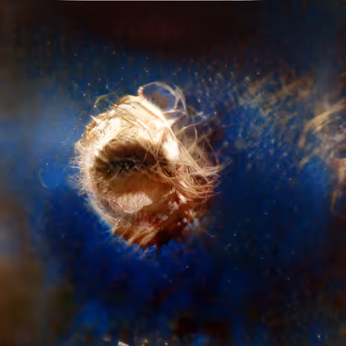 Item #84457744602723809043049191225279009657327463478214710277063869990018406678529 Media