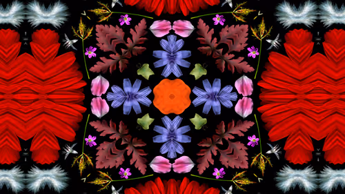 Item #114567358423953626281537788403819853891642458412316118477611090122905462243329 Media