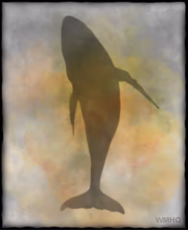 Item #46323048868281778951597393058838700727802611022717082381577191659464736899073 Media