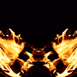 Phoenix #003