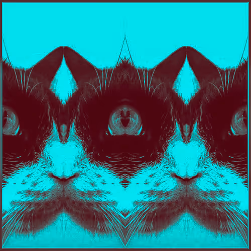 Item #62224154844929677022393842232947945299621837358898658373332336532679638908929 Media