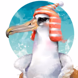 Sea bird  cool