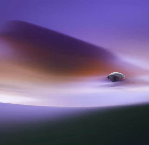 Item #68191600805378060994990530553063317050227610382649141130787624749516378341377 Media