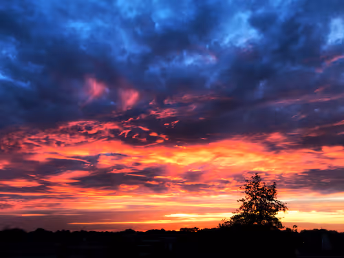 Item #79655167907517619364713975577317788096264741034631426669771217880030870765569 Media