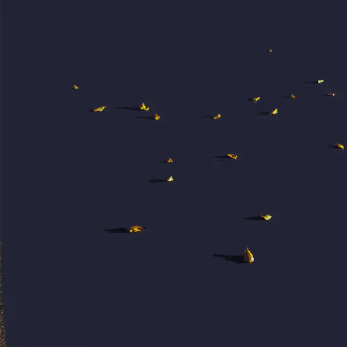 Item #30922913227835901640492648130397122573689386781932024212573874685384220213249 Media